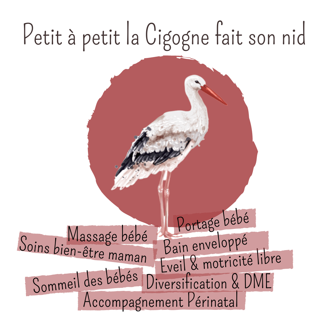 Petit à petit la Cigogne fait son nid Actualité